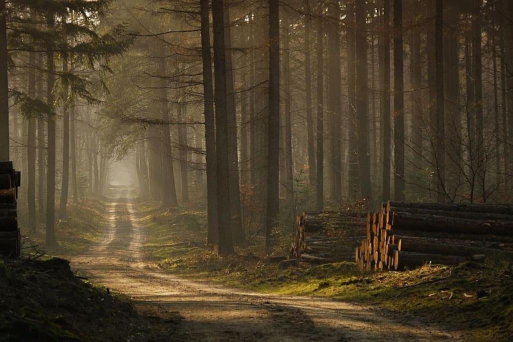 Reewold Veluwe Βίλα Putten Εξωτερικό φωτογραφία