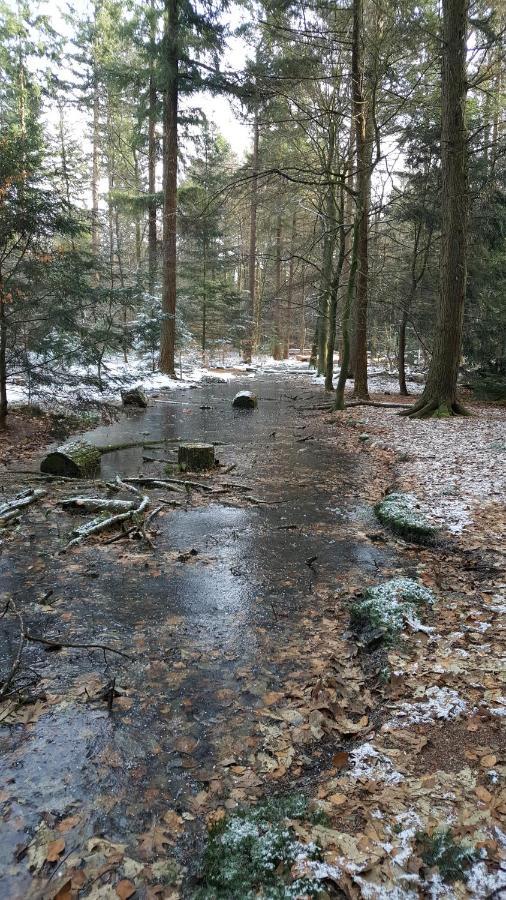 Reewold Veluwe Βίλα Putten Εξωτερικό φωτογραφία