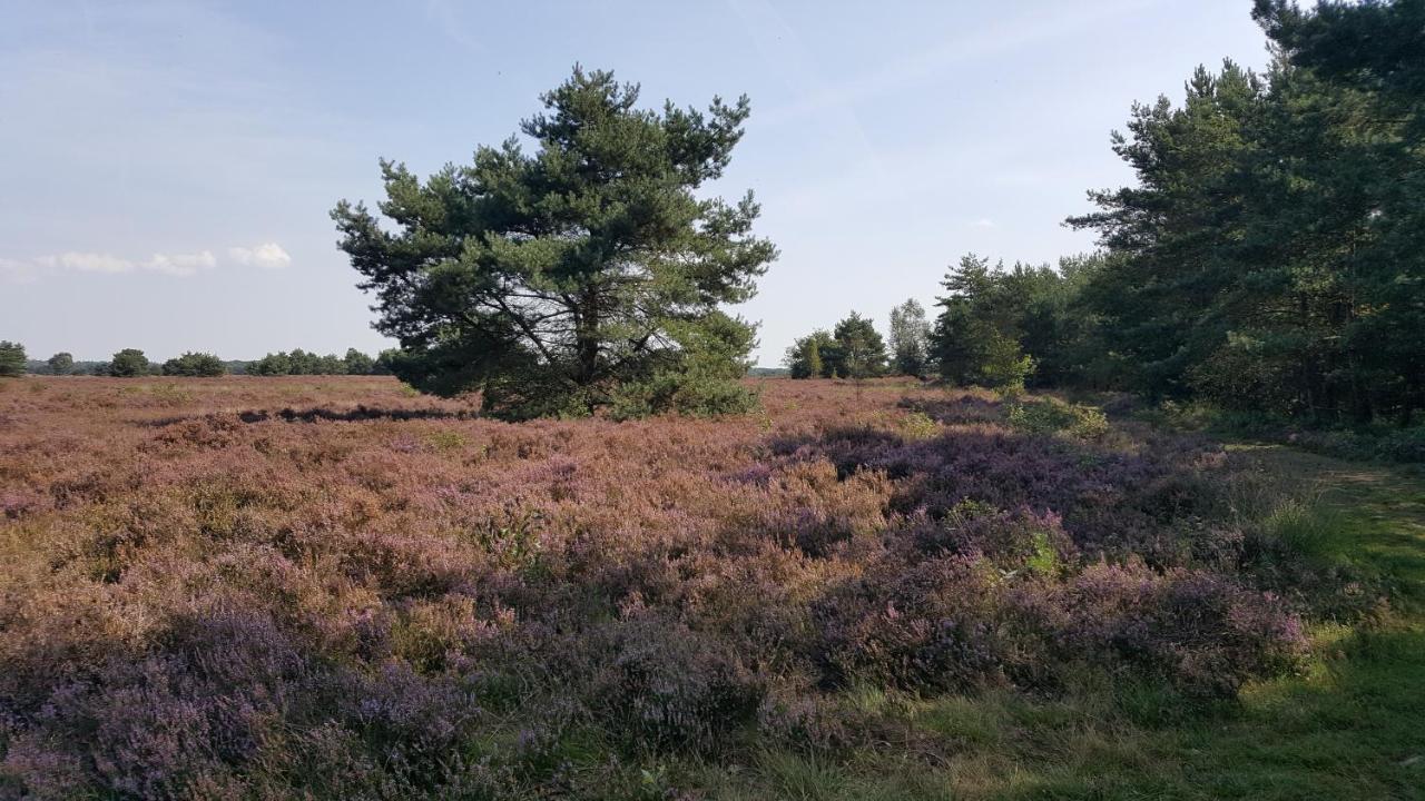 Reewold Veluwe Βίλα Putten Εξωτερικό φωτογραφία